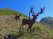 08 Cervo e stambecchi annunciano il Corno Stella